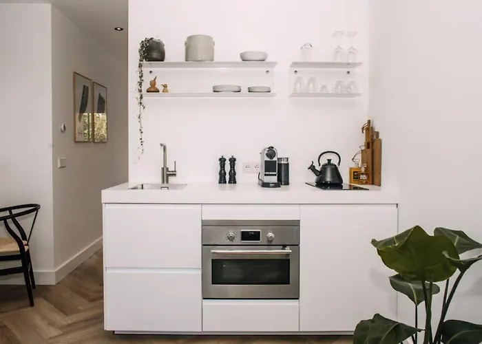 The Pine Tree House Vakantiehuis Zandvoort